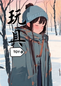 玩具sks