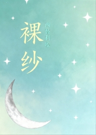 裸纱透气上衣夏季