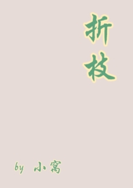 折枝小说肉车